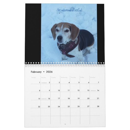 LOVEMAX 2016 KALENDER (Feb 2026)