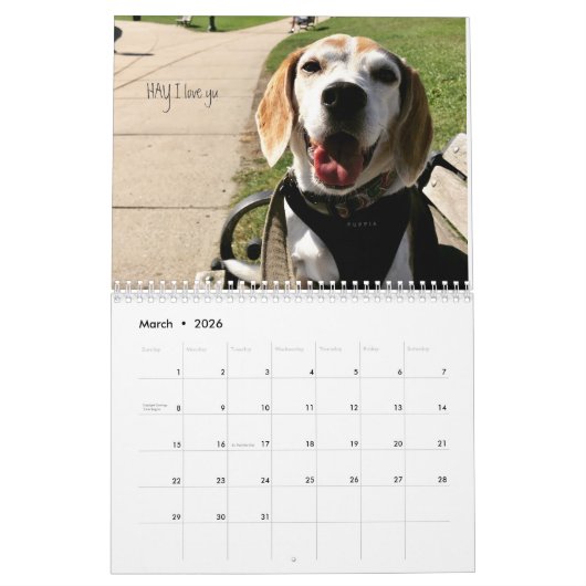 LOVEMAX 2018 KALENDER (Mär 2026)