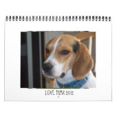 LOVEMAX-Kalender 2012 Kalender (Titelbild)