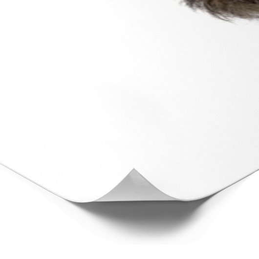 Lover Valentine Havanese Puppy Dog Poster (Ecke)