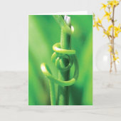 Lover's Embrace, Twisted Tendril Vine, ich vermiss Karte (Gelbe Blume)