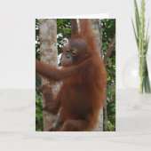 Lover's Valentine Feiertagskarte (Vorderseite)