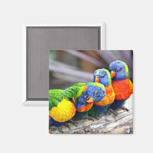 Lovey-Dovey Parrots Magnet (Vorderseite/Rückseite)