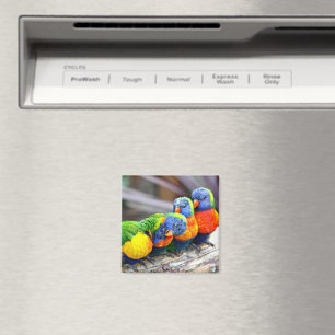Lovey-Dovey Parrots Magnet