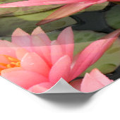 Lovin' Lilies.... Poster (Ecke)