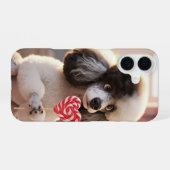 Loving Poodle IPhone Case 16 Hülle (Rückseite (Horizontal))
