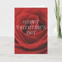LOVING YOU GIFT COLLECTION
