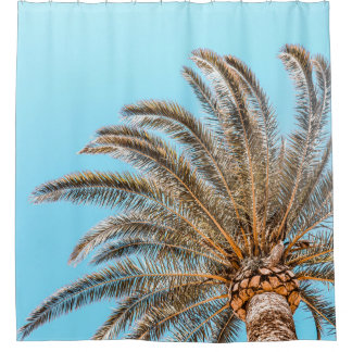 Low-angle-Fotografie einer grünen Palme unter eine Duschvorhang
