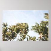 LOW-ANGLE PHOTOGRAPHY OF GREEN COCONUT TREES UNDER POSTER (Vorne)