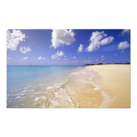 Low Bay Beach, Barbuda, Antigua Fotodruck (Vorne)