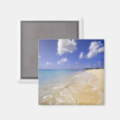 Low Bay Beach, Barbuda, Antigua Magnet (Vorderseite/Rückseite)