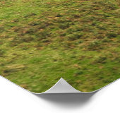 Low Fying Hercules Special RAF Centenary Schwanz Poster (Ecke)