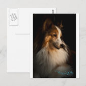 Low Key Shetland Sheepdog Postkarte (Vorne/Hinten)