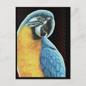 Low Poly Macaw Postkarte (Vorderseite)