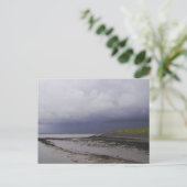 Low Tide Westerschelde Postkarte (Stehend Vorderseite)