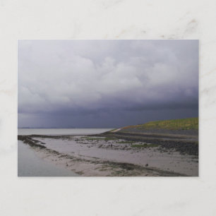 Low Tide Westerschelde Postkarte