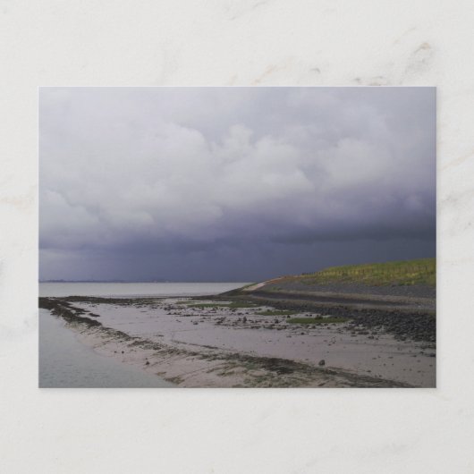 Low Tide Westerschelde Postkarte (Vorderseite)