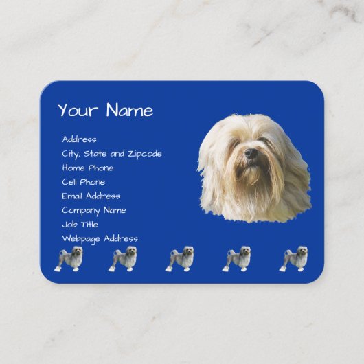 Lowchen auf dunkelblauem visitenkarte (Vorderseite)