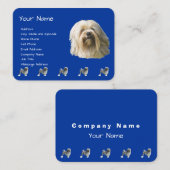 Lowchen auf dunkelblauem visitenkarte (Vorne/Hinten)