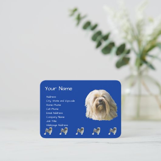 Lowchen auf dunkelblauem visitenkarte (Stehend Vorderseite)