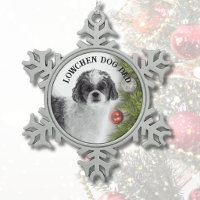 Lowchen-Hundefather