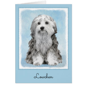 Lowchen Malerei - Niedliche Original Hunde Kunst
