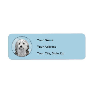 Lowchen Malerei - Niedliche Original Hunde Kunst