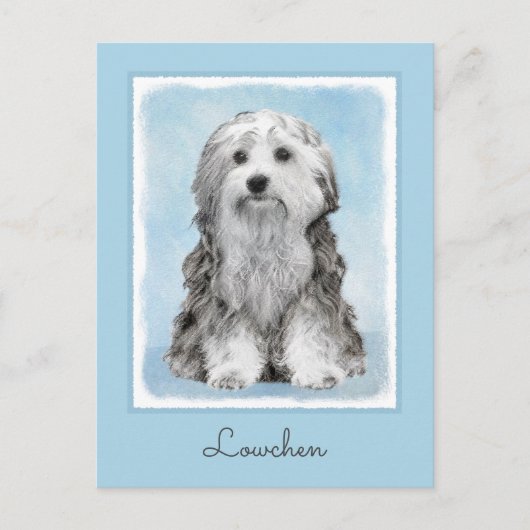 Lowchen Malerei - Niedliche Original Hunde Kunst Postkarte (Vorderseite)