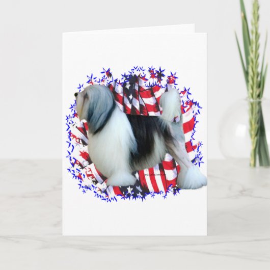 Löwchen Patriot Karte (Vorderseite)