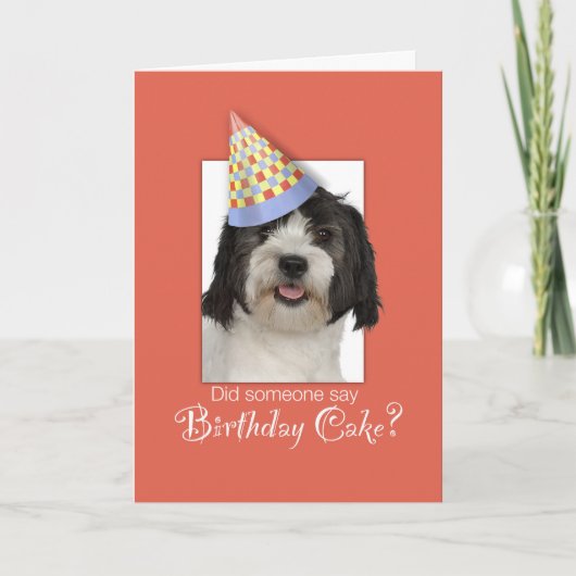 LowchenL Dog Funny Birthday Hat, Orange Background Karte (Vorderseite)