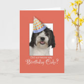 LowchenL Dog Funny Birthday Hat, Orange Background Karte (Gelbe Blume)