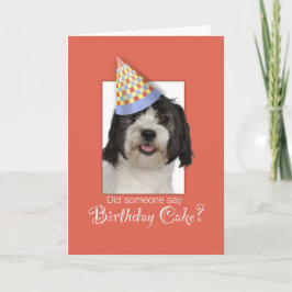 LowchenL Dog Funny Birthday Hat, Orange Background Karte