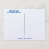 Lowcountry Pferdeweg Reiten Hilton Island SC Postkarte (Rückseite)