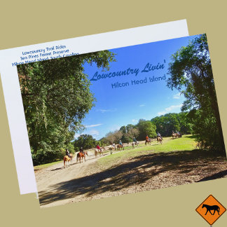 Lowcountry Pferdeweg Reiten Hilton Island SC Postkarte