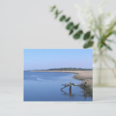 Lowcountry, SC - Postkarte (Stehend Vorderseite)