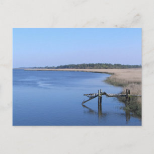 Lowcountry, SC - Postkarte