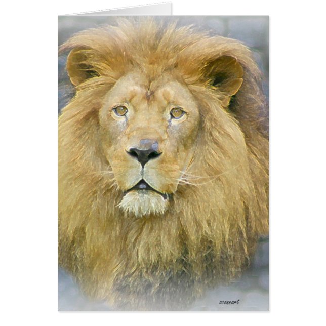Löwe (Vorne)