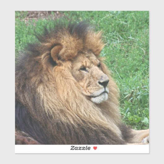 Löwe 001 aufkleber (Blatt)