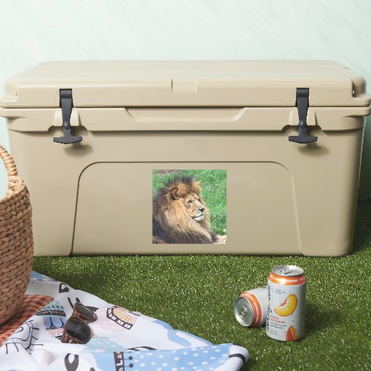 Löwe 001 aufkleber (Kühler)