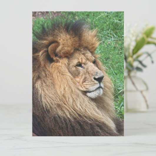 Löwe 001 feiertagskarte (Stehend Vorderseite)