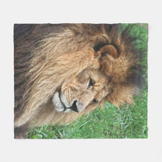 Löwe 001 fleecedecke (Vorderseite (Horizontal))