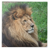 Löwe 001 fliese (Vorderseite)