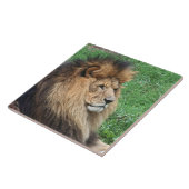 Löwe 001 fliese (Seite)