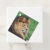 Löwe 001 geschenkanhänger (Beispiel)