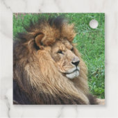 Löwe 001 geschenkanhänger (Rückseite)