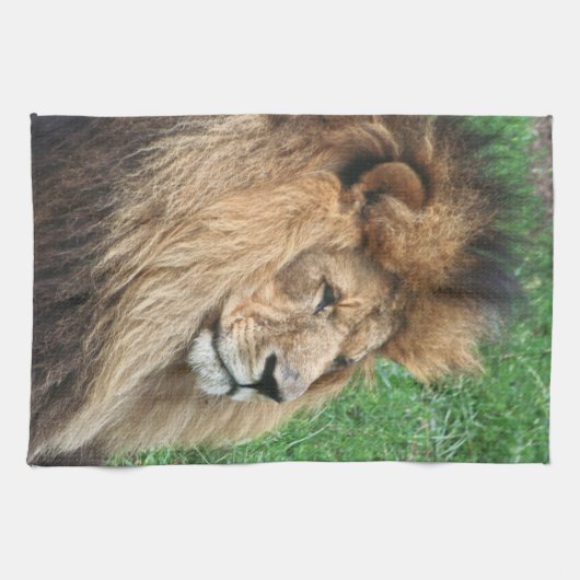 Löwe 001 geschirrtuch (Horizontal)