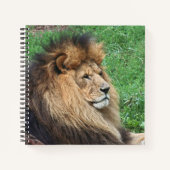 Löwe 001 notizblock (Vorderseite)