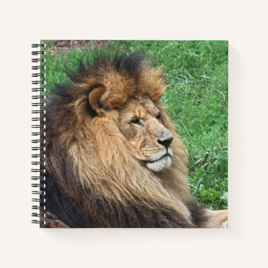 Löwe 001 notizblock (Vorderseite)
