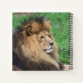 Löwe 001 notizblock (Rückseite)