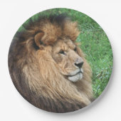 Löwe 001 pappteller (Vorderseite)